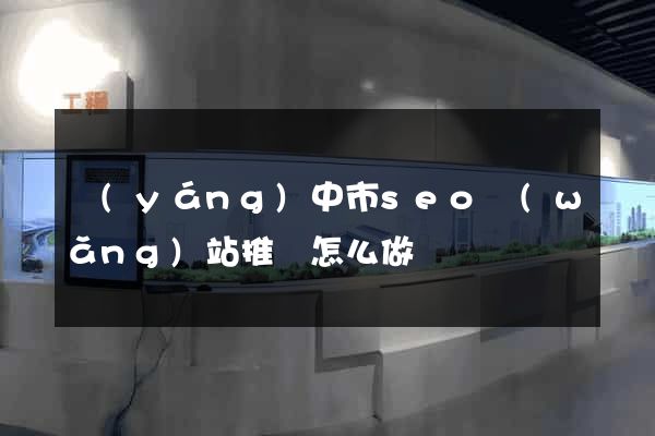 揚(yáng)中市seo網(wǎng)站推廣怎么做