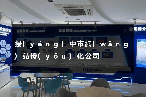 揚(yáng)中市網(wǎng)站優(yōu)化公司
