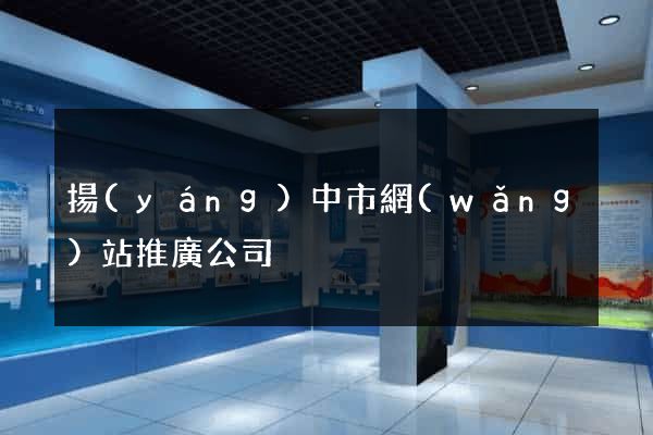 揚(yáng)中市網(wǎng)站推廣公司