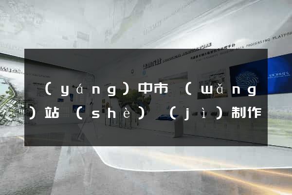 揚(yáng)中市網(wǎng)站設(shè)計(jì)制作