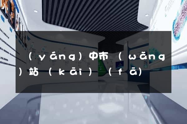 揚(yáng)中市網(wǎng)站開(kāi)發(fā)