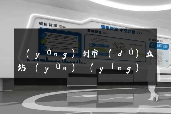 揚(yáng)州市獨(dú)立站運(yùn)營(yíng)