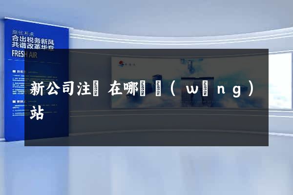 新公司注冊在哪個網(wǎng)站