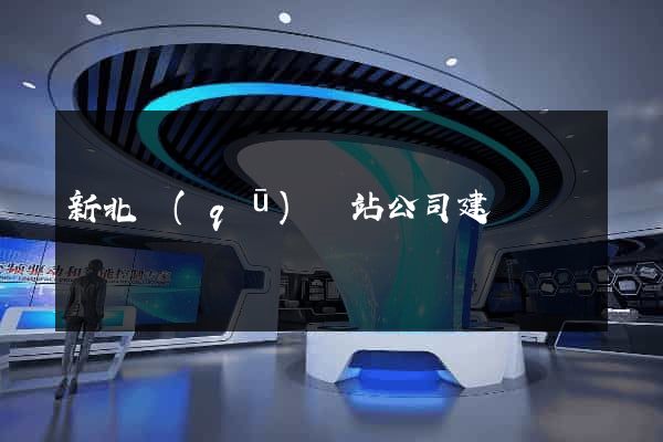新北區(qū)網站公司建設