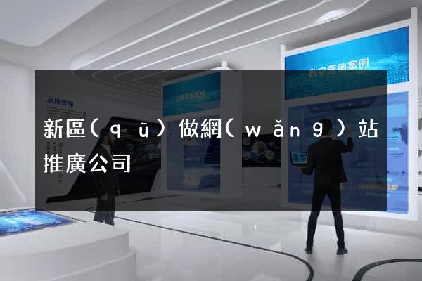新區(qū)做網(wǎng)站推廣公司