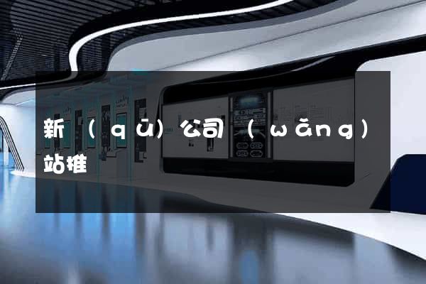 新區(qū)公司網(wǎng)站推廣