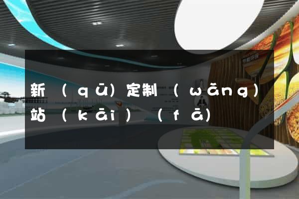 新區(qū)定制網(wǎng)站開(kāi)發(fā)