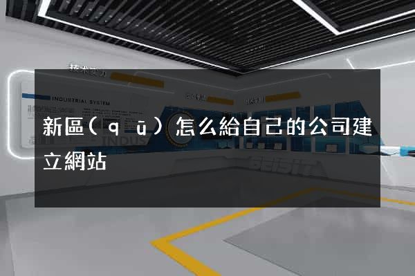 新區(qū)怎么給自己的公司建立網站