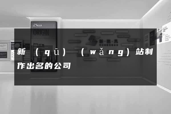 新區(qū)網(wǎng)站制作出名的公司