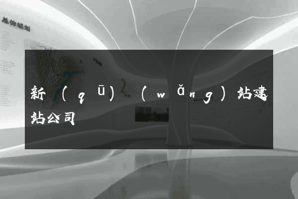 新區(qū)網(wǎng)站建站公司
