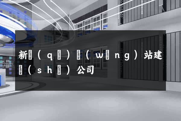 新區(qū)網(wǎng)站建設(shè)公司