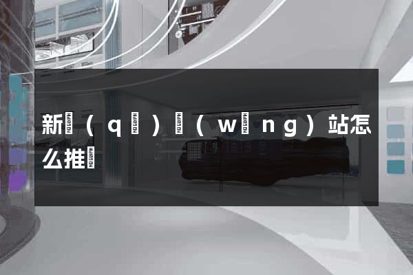 新區(qū)網(wǎng)站怎么推廣