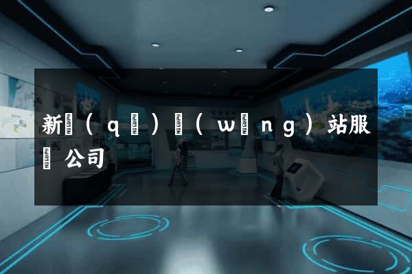 新區(qū)網(wǎng)站服務公司