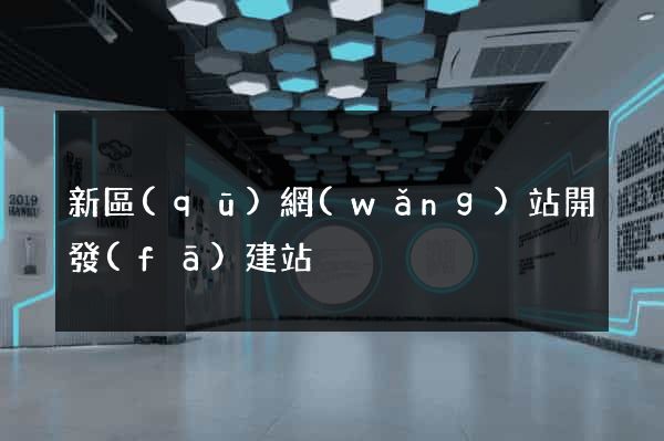 新區(qū)網(wǎng)站開發(fā)建站