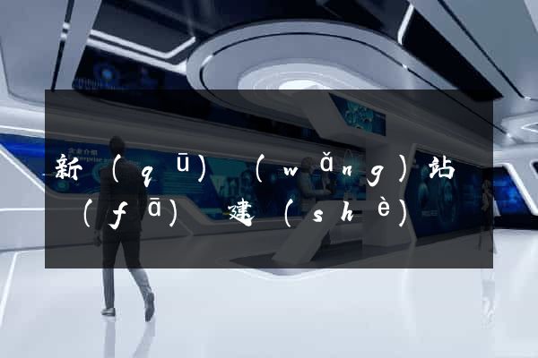新區(qū)網(wǎng)站開發(fā)與建設(shè)
