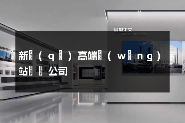 新區(qū)高端網(wǎng)站設計公司