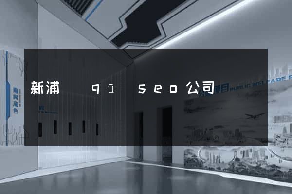 新浦區(qū)seo公司