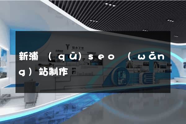 新浦區(qū)seo網(wǎng)站制作