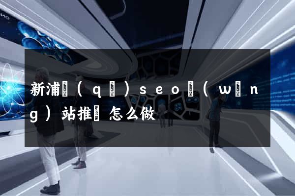 新浦區(qū)seo網(wǎng)站推廣怎么做
