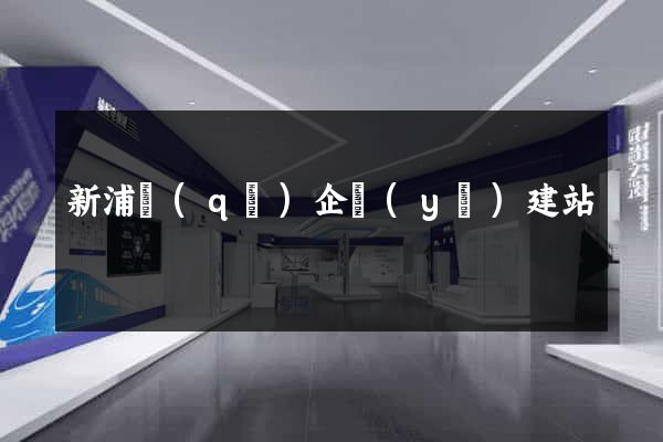 新浦區(qū)企業(yè)建站