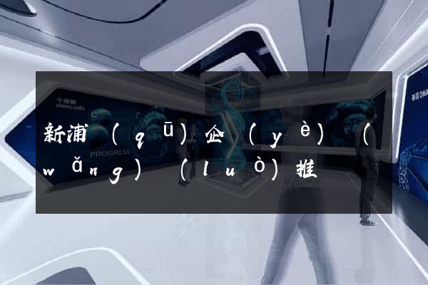 新浦區(qū)企業(yè)網(wǎng)絡(luò)推廣