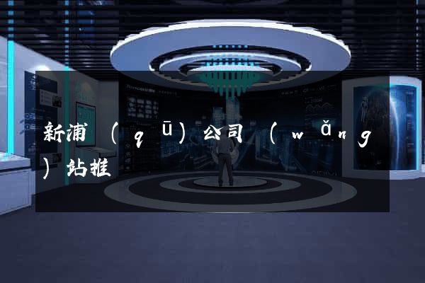 新浦區(qū)公司網(wǎng)站推廣