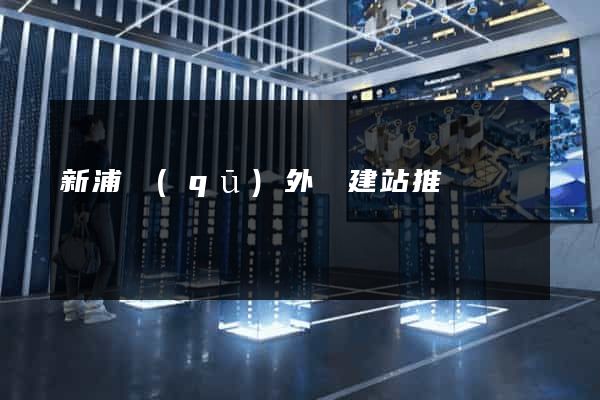 新浦區(qū)外貿建站推廣