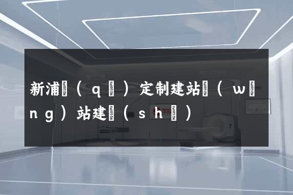 新浦區(qū)定制建站網(wǎng)站建設(shè)