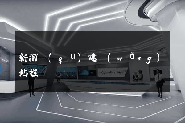 新浦區(qū)建網(wǎng)站推廣