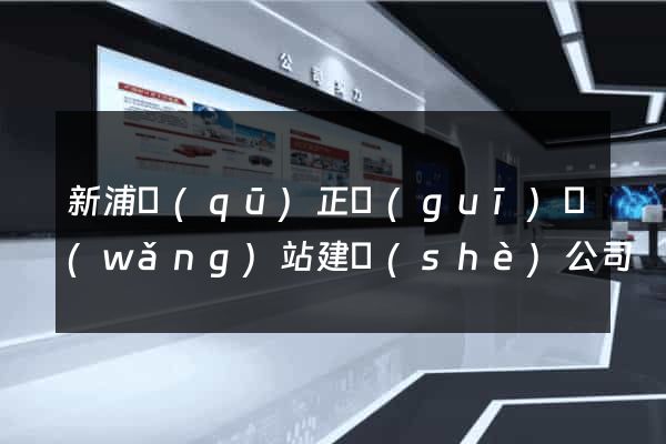 新浦區(qū)正規(guī)網(wǎng)站建設(shè)公司