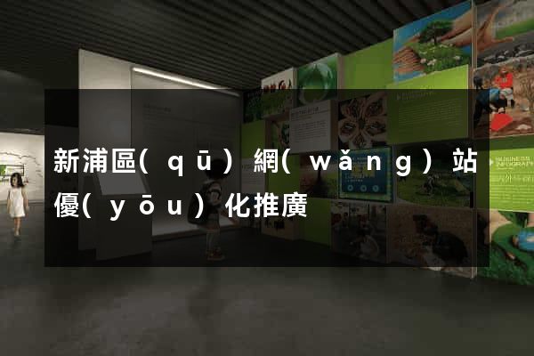 新浦區(qū)網(wǎng)站優(yōu)化推廣
