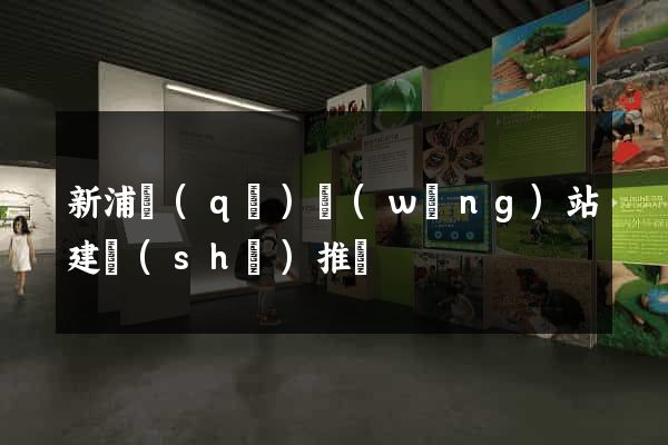 新浦區(qū)網(wǎng)站建設(shè)推廣