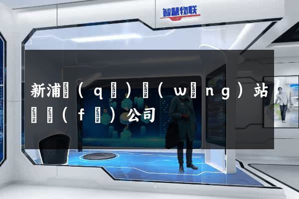 新浦區(qū)網(wǎng)站開發(fā)公司