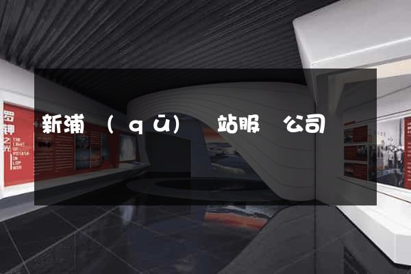 新浦區(qū)網站服務公司