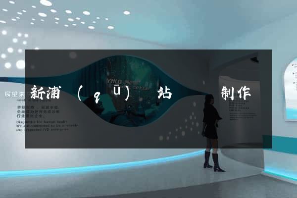 新浦區(qū)網站設計與制作