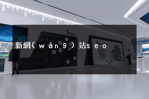 新網(wǎng)站seo
