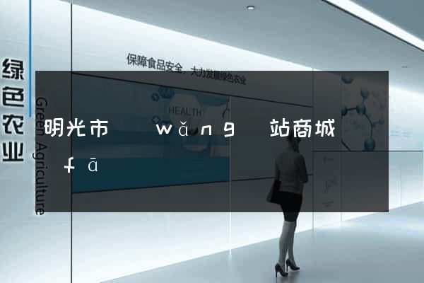 明光市網(wǎng)站商城開發(fā)
