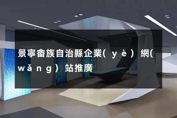 景寧畬族自治縣企業(yè)網(wǎng)站推廣