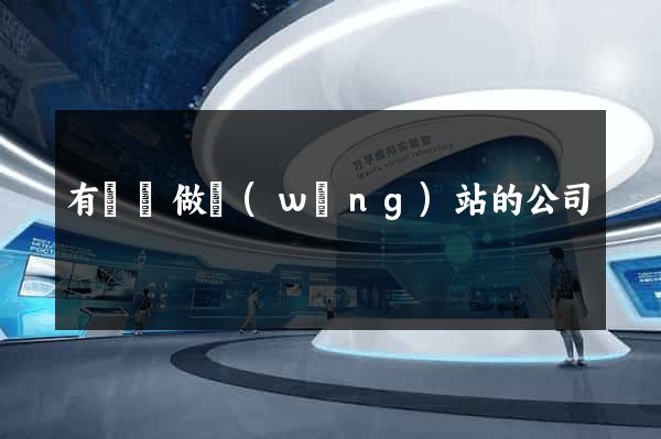 有專門做網(wǎng)站的公司