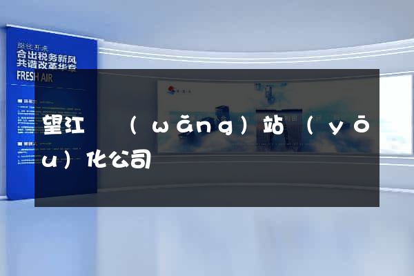 望江縣網(wǎng)站優(yōu)化公司