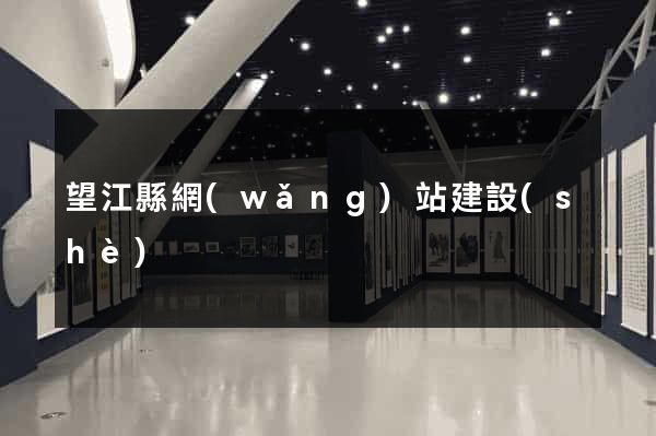 望江縣網(wǎng)站建設(shè)
