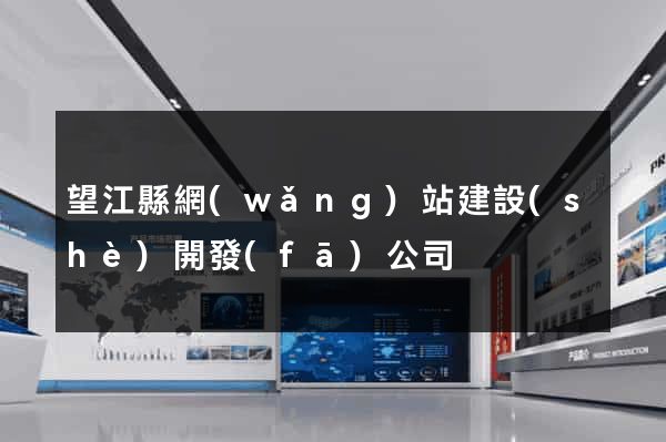 望江縣網(wǎng)站建設(shè)開發(fā)公司