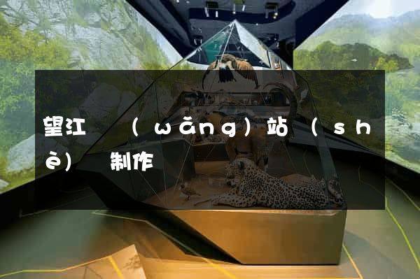 望江縣網(wǎng)站設(shè)計制作
