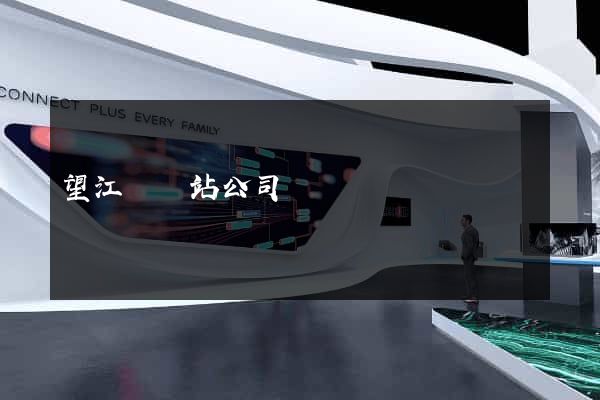望江縣網站公司