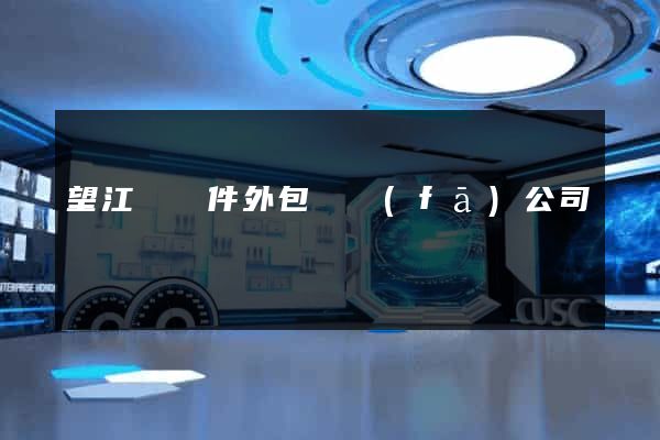 望江縣軟件外包開發(fā)公司