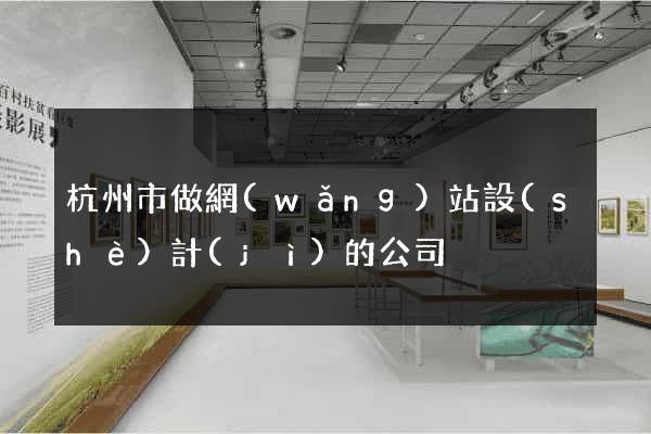 杭州市做網(wǎng)站設(shè)計(jì)的公司