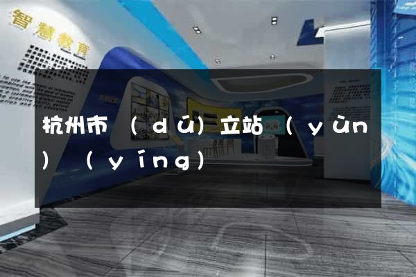 杭州市獨(dú)立站運(yùn)營(yíng)