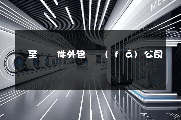 東至縣軟件外包開發(fā)公司