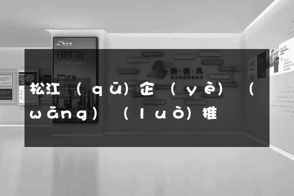 松江區(qū)企業(yè)網(wǎng)絡(luò)推廣