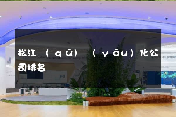 松江區(qū)優(yōu)化公司排名